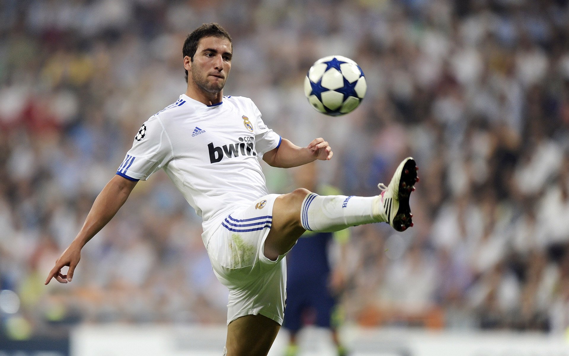 法国职业联赛强队争霸，球迷热议不断，法国业余联赛